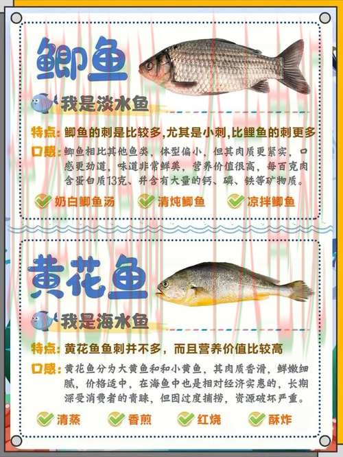 乐鱼综合版全方位解析 乐鱼综合版全方位解析